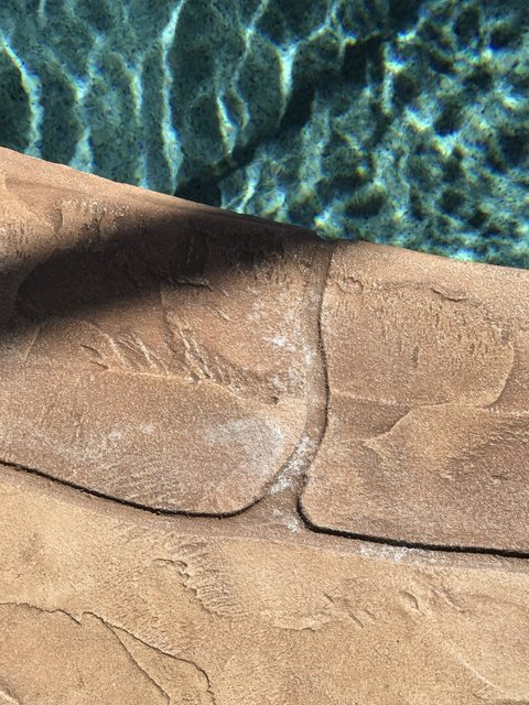 Pool coping in decorative concrete