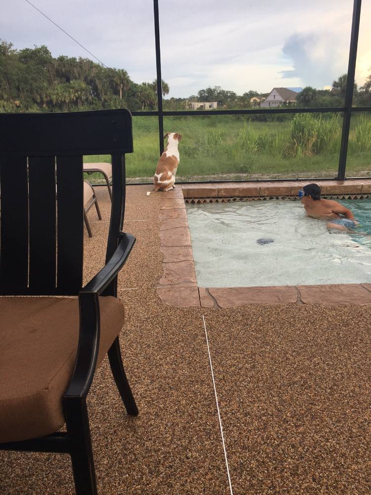 River rock pool deck beside the spa